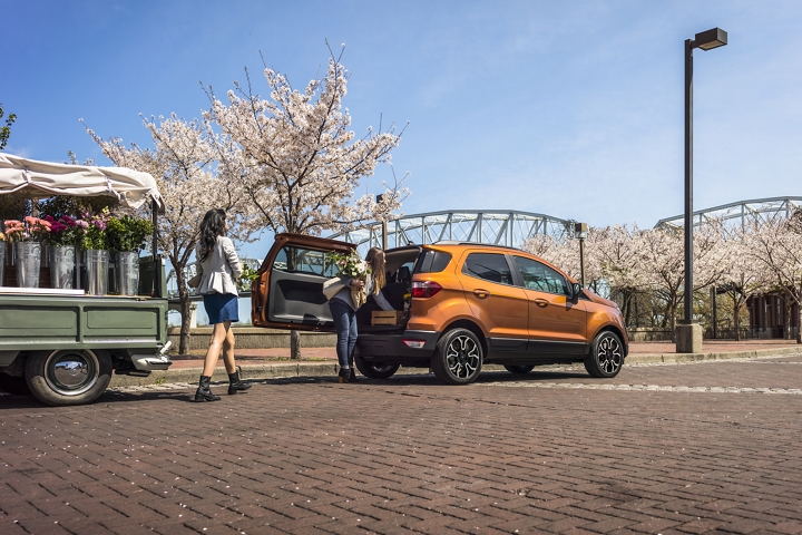 2020 Ford Ecosport Driving Range