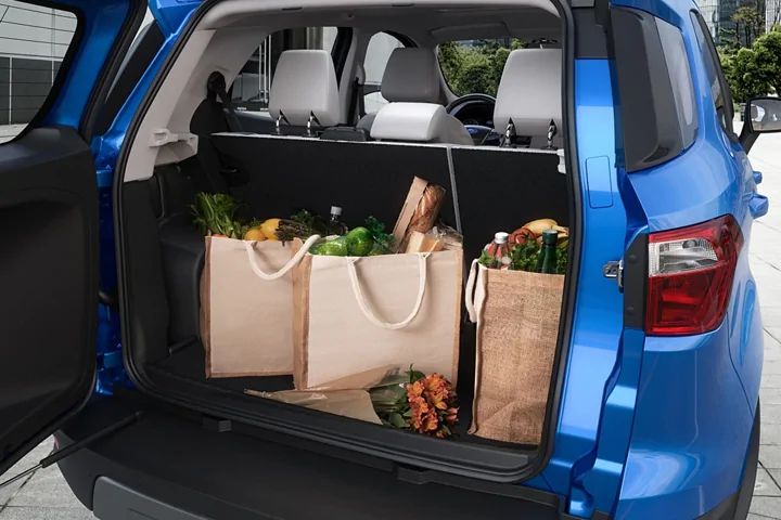 2021 Ford EcoSport Cargo/Storage Volume