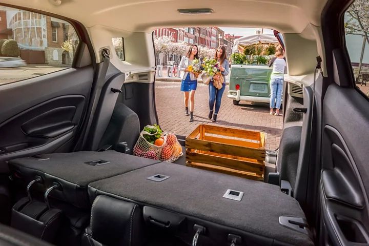 2021 Ford EcoSport Cargo/Storage Volume