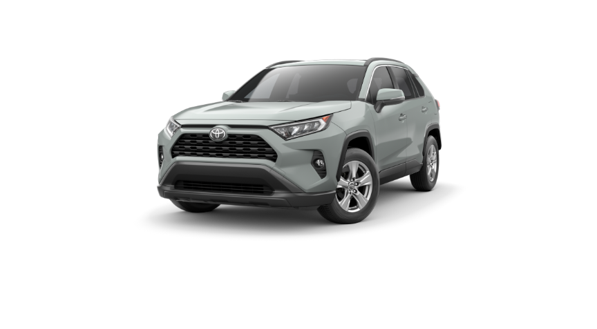 2019 Toyota RAV4 XLE in Jacksonville, FL
