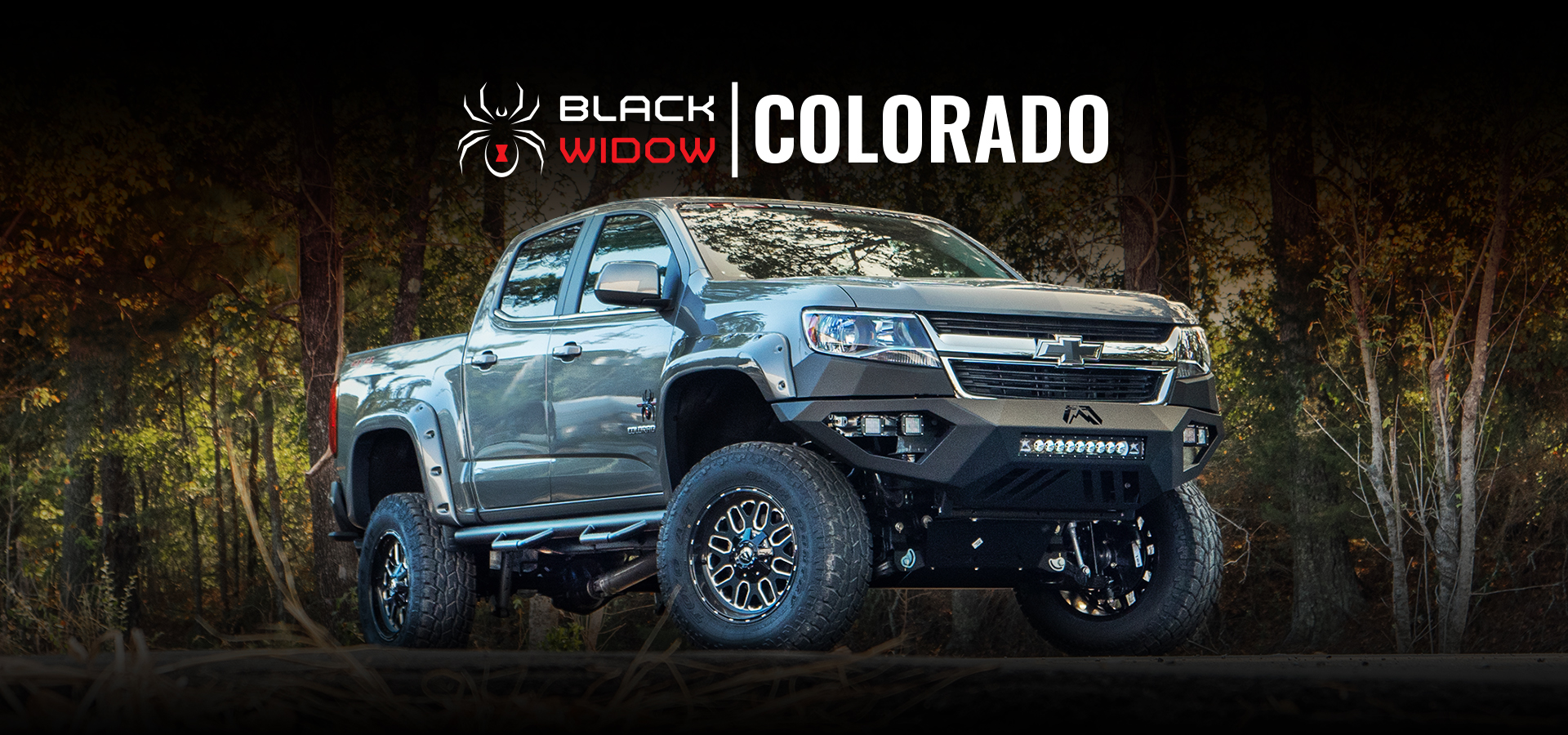 Colorado Black Widow